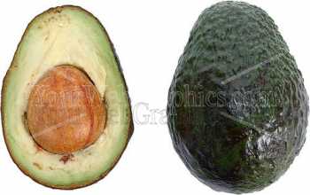 photo - cut-avocado-jpg